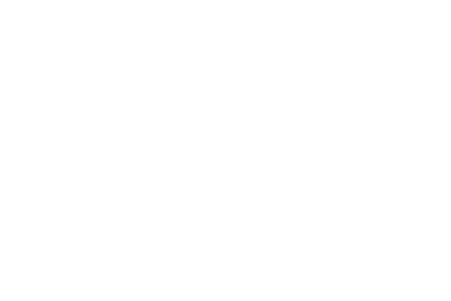 logo horizontal branco